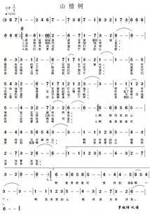 歌曲山楂树创作背景,山楂树下的青春记忆